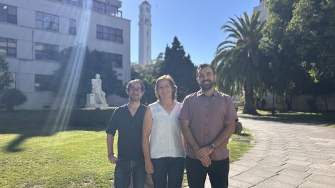 Equipo Colabora.doc.-5