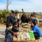 Docentes y estudiante del Magíster en Arte y Patrimonio UdeC diseñan recurso educativo para difusión del patrimonio campesino dirigido a escuelas rurales