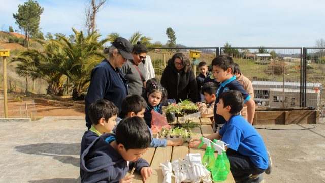 Docentes y estudiante del Magíster en Arte y Patrimonio UdeC diseñan recurso educativo para difusión del patrimonio campesino dirigido a escuelas rurales